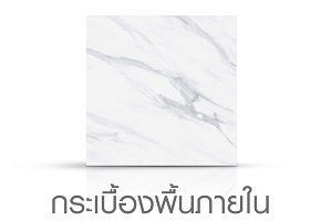 พื้นภายใน